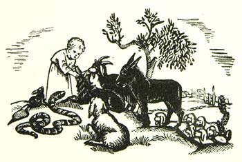 Child on a hilltop surrounded by animals.